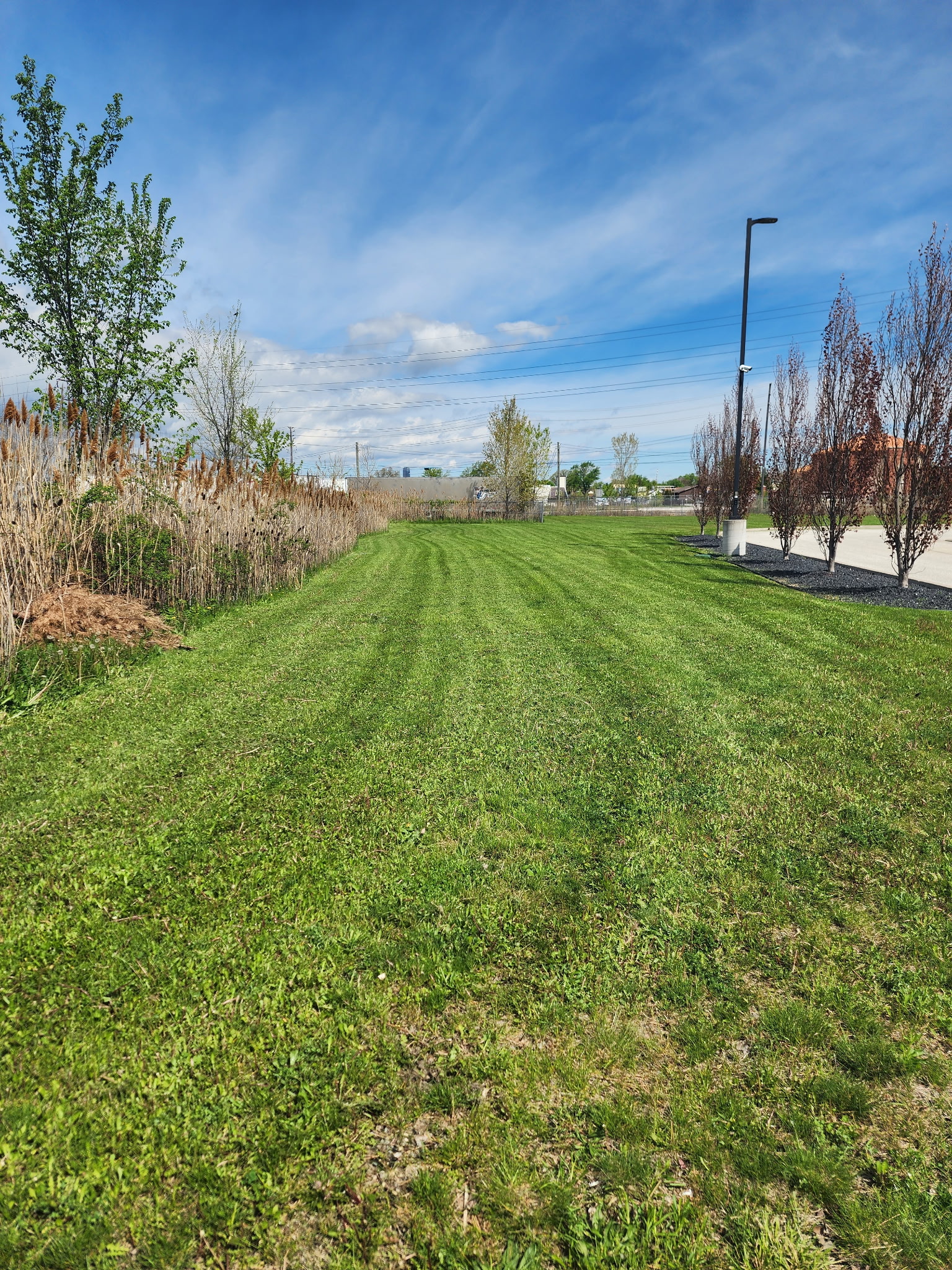 Green Lawn
